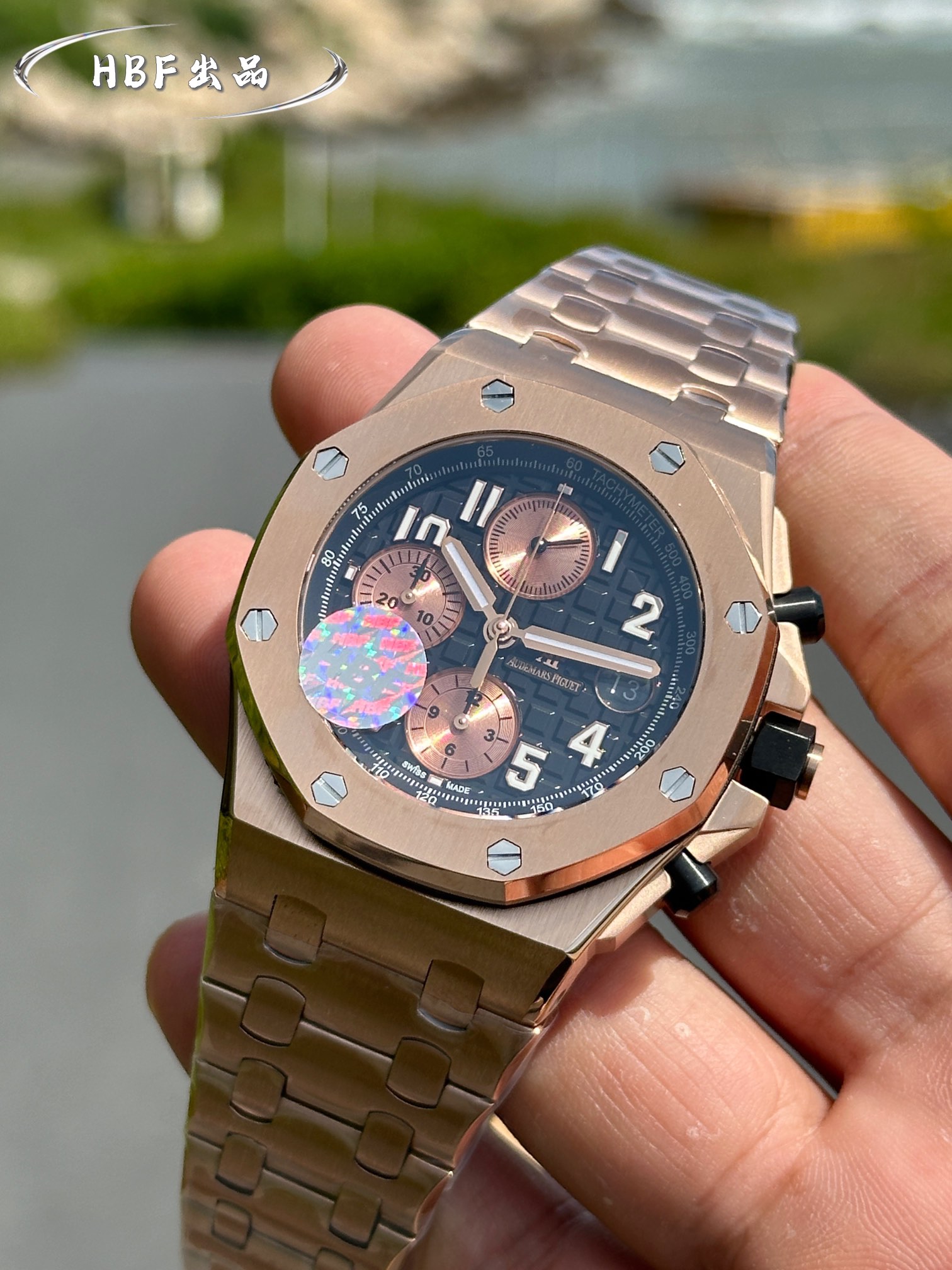 Audemars Piguet watch